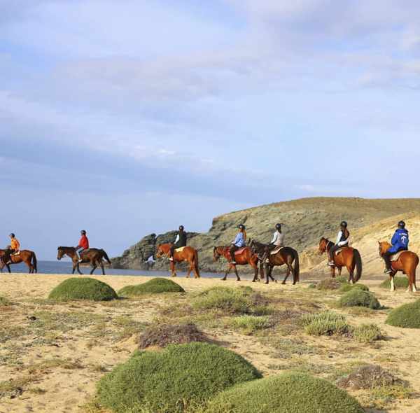 Mykonos Horseland group horseback ride
